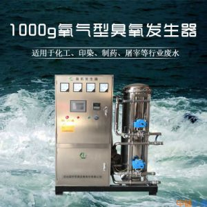 1000g水冷氧气源臭氧发生器废水用