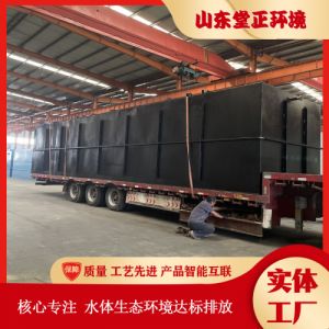 医疗废水处理设备 TZ10医院诊所 养老福利院生活污水处理 一体化设备