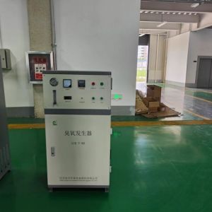 禽类鹌鹑养殖水的消毒处理用鑫冠宇臭氧发生器GCY-T-150