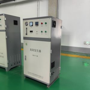 水产养殖水曝气消毒消毒脱色除臭味 小型臭氧发生器 冠宇 支持定制