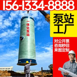 一体化预制雨水泵站 预埋式控制系统  污水处理厂收集 河北保聚厂家